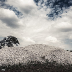 Part of the mountains built from all the ivory confiscated and burned on 2016